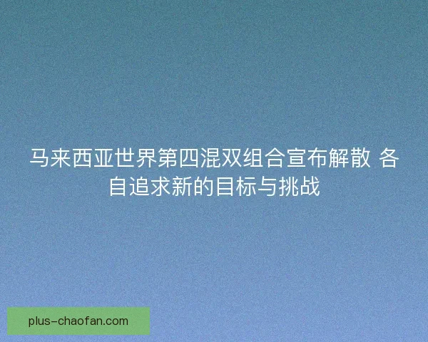 马来西亚世界第四混双组合宣布解散 各自追求新的目标与挑战